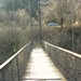 bridge golden fish (2)