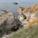 DSCN6150