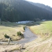 govedarzi (2)